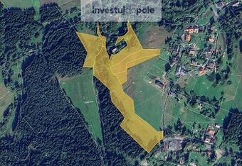 Prodej louky v k.ú. Pila