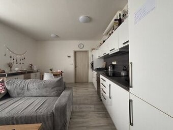 Pronájem bytu 3+kk 76 m², Včelná