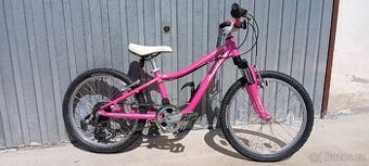 Specialized Hotrock 20"