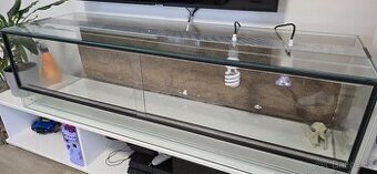Terarium - 1