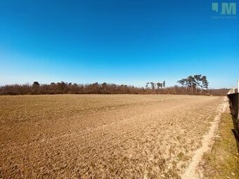 Prodej pozemky - zahrady, 7 000 m² - Dobšice, ev.č. 01717