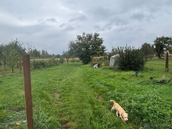 Prodej rodinného domu