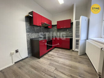 Pronájem bytu 1+1, 50 m2 se zahradou, ulice Poděbrad, 134118