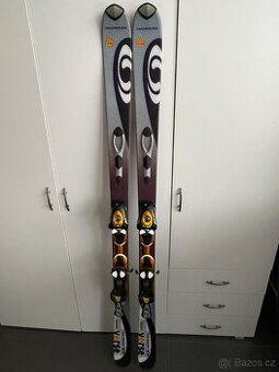 Lyže s hůlkami a vakem