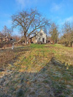 Pronájem zahrady - 1