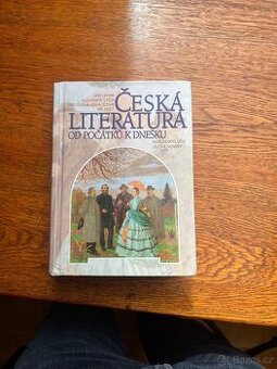 Česká literatura od počátků k dnešku