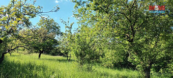 Prodej ovocného sadu, 912 m², Třebenice, ul. Třebenice