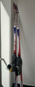 Lyže Sporten