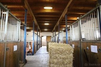 Nabídka ustájení Olomouc - Doloplazy