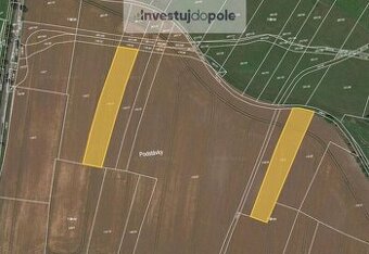 Prodej pole v k.ú. Domoslavice