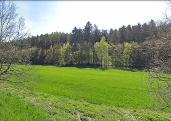 Trvale travní porost Mrzky 2259m2 (Kolín) - 1