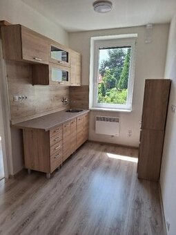 Byt 1+1 v I.p. 35,5 m2 v Sadově u K. Varů
