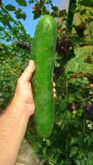Hnojivo - Bobík 2kg