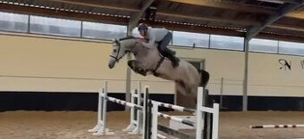 Klisna CASSINI I x KANNAN