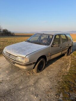 Peugeot 405 veškeré ND