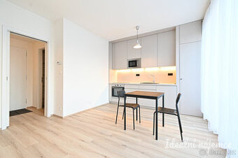 Podnájem bytu 1+kk, Rybářská, Staré Brno,  15.000 Kč/měs, 29