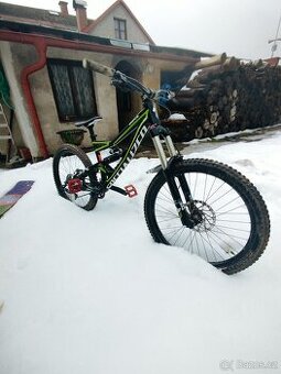 Specialized status 2013