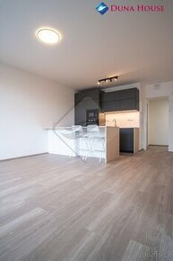 Pronájem bytu 2+kk/L, 56 m², Praha 7 - Holešovice