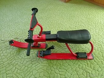 Skibob