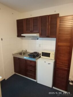 BEZ PROVIZE RK majitel pronajme 1kk 22m2 + 10m2 Michle