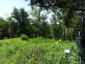 Pozemek v rekreační oblasti - Smolnice - 1