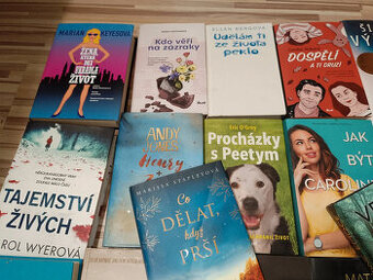 Detektivní knihy 23 kusů cena celkem