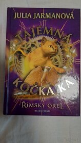 Tajená kočka Ka a Kronika rodu Spiderwicků - 1