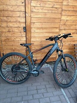 Elektrokolo Maxbike Gunnar 29
