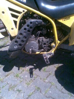 YAMAHA Tri-z 250