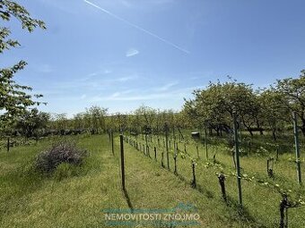 Prodej zahrady 650m2, k.ú. Dobšice u Znojma