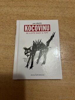 Jak přežít kocovinu