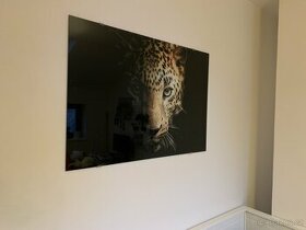 Skleněný obraz Leopard