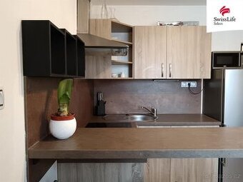 Pronájem bytu 2+1 62 m2 nám. 17. listopadu, Karlovy Vary