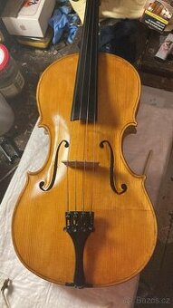 Viola 39,4