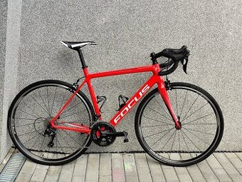 Focus Izalco Race, vel. 54 (170-185cm)