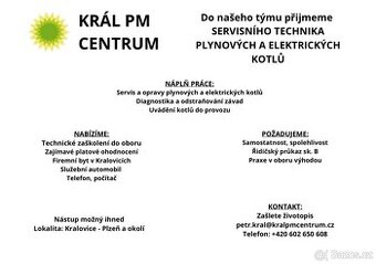 SERVISNÍ TECHNIK PLYNOVÝCH A ELEKTRICKÝCH KOTLŮ
