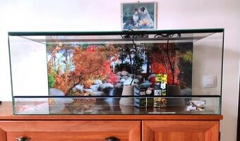 LTerarium 80x40x40 nové, sila skla 5 mm,polyuretanové pozadi