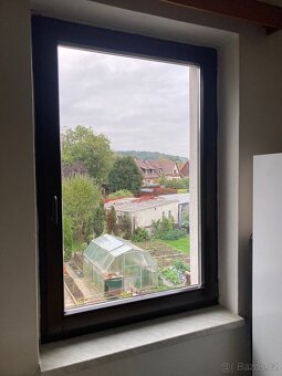 Dřevěná euro okna