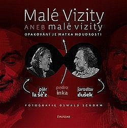 Malé vizity aneb malé vizity - Jaroslav Dušek
