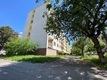 Pronájem pěkného bytu 1+1, 35 m2, Hradec Králové – ul. Formá - 1