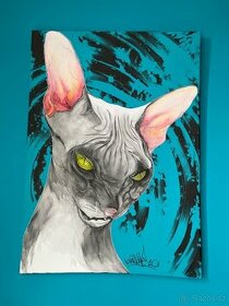 obraz 50x70 kočka phynx