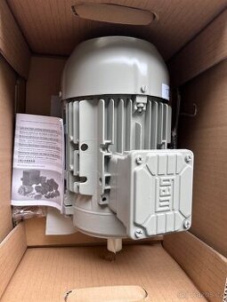 Elektromotor Weg W21