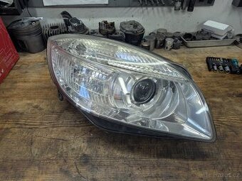 Bi-halogen fabia II, Roomster