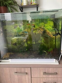 Akvárium 90x30x60