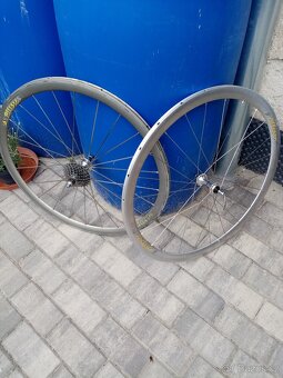 Zazapletena koka