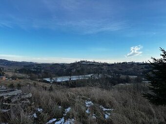 Prodej lesa v k.ú Střížov u Jihlavy 11 837 m2
