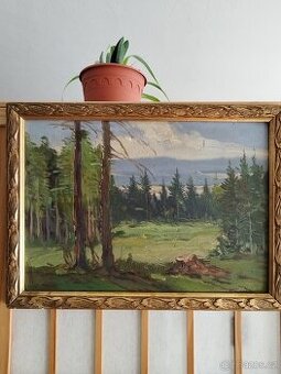 obraz LESNÍ MÝTINA, olej, sign. Trinkmoc