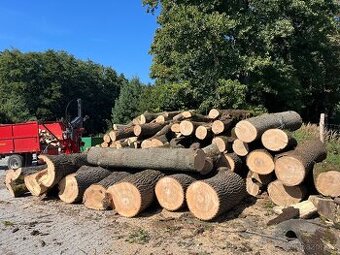 Palivové dřevo Tvrdé