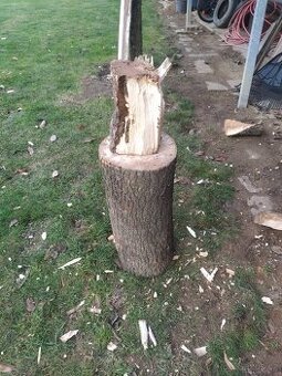 Špalek na štípání dřeva dub bahenní