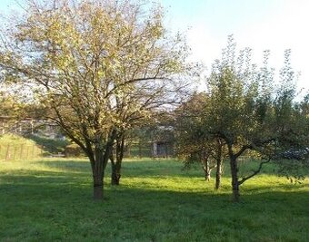 Kdo přenechá zahrádku v kolonii = ODSTUPNE